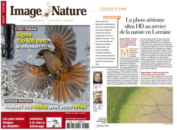 Article Image & Nature