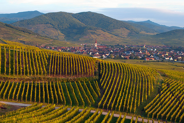 Photo aerienne : L'Alsace vue du ciel Photo aerienne : L'Alsace vue du ciel
