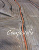 Les Chemins de Saint-Jacques de Compostelle vus du ciel