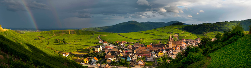 Photo aerienne : L'Alsace vue du ciel- La Route des Vins d'Alsace