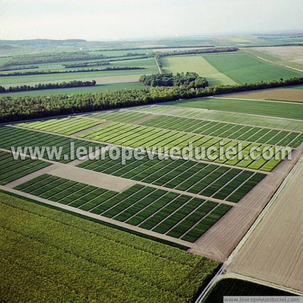 Photo aérienne de Indtermine (Marne)