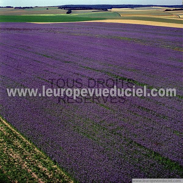 Photo aérienne de Indtermine (Yonne)