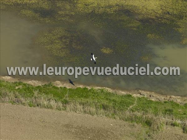 Photo aérienne de Ludon-Mdoc
