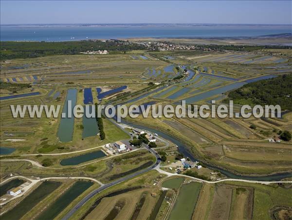 Photo aérienne de Saint-Georges-d'Olron