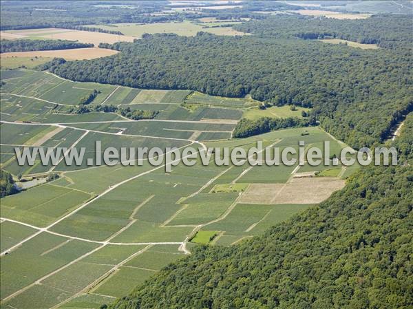 Photo aérienne de Fleury-la-Rivire
