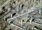 Photos aériennes de "lorraine" - Photo réf. AER1993_3 - Etat des lieux aprs la tempte du 26/12/99 en Lorraine