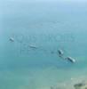 Photos aériennes de "littoral" - Photo réf. 41363 - Sur le littoral d'Arromanches-les-Bains ces caissons Phoenix, au nombre de 146, taient destins  la formation des jetes-abris devant les ports Mulberries A et B.