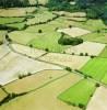 Photos aériennes de "champ" - Photo réf. 60784 - Un paysage de campagne dans le Puy-de-Dme.