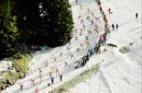 Photos aériennes de "course" - Photo réf. 62050_32 - Les skieurs encourags par les spectateurs.