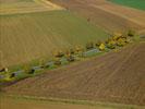 Photos aériennes de "arbres" - Photo réf. T084416 - Une Route Borde d'Arbres aux Couleurs d'Automne