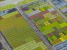 Photos aériennes de Odomez (59970) | Nord, Nord-Pas-de-Calais, France - Photo réf. E133870 - Plantations multicolores dans les ppinires Wannyn SAR