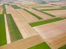 Photos aériennes de "étendue" - Photo réf. E134119 - Vaste tendue cultive du Pays de Chalon-en-Champagne