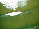 Photos aériennes de "surf" - Photo réf. E146026