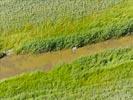 Photos aériennes de "héron" - Photo réf. E147985 - Un hron dans les marais