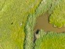 Photos aériennes de "héron" - Photo réf. E147987 - Un hron dans les marais
