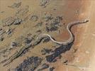 Photos aériennes de "squelette" - Photo réf. E148020 - Serpent d'ocan, oeuvre de Huang Yong Ping
