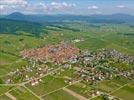 Photos aériennes de "village" - Photo réf. U134103 - Sur la route des Vins d'Alsace, le plus grand village viticole de la rgion