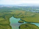Photos aériennes de "mangrove" - Photo réf. U134708 - La Mangrove