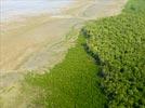 Photos aériennes de "littoral" - Photo réf. U154247 - Le littoral Guyanais et sa mangrove
