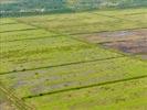 Photos aériennes de Mana (97360) | Guyane, Guyane, France - Photo réf. U154338 - Les rizires de Mana