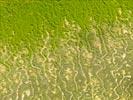 Photos aériennes de "littoral" - Photo réf. U154368 - Le littoral Guyanais et sa mangrove