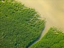Photos aériennes de "littoral" - Photo réf. U154416 - Le littoral Guyanais et sa mangrove