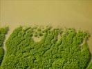 Photos aériennes de "mangrove" - Photo réf. U154417