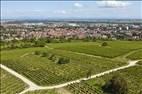 Photos aériennes de Molsheim (67120) - Autre vue | Bas-Rhin, Alsace, France - Photo réf. E165428