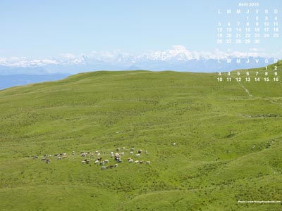 Les Montagnes Jurassiennes avec le Mont-Blanc en arrière-plan (Ain)