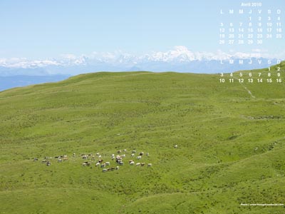 Les Montagnes Jurassiennes avec le Mont-Blanc en arrire-plan (Ain)