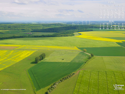 La campagne mosellane au printemps (Moselle)