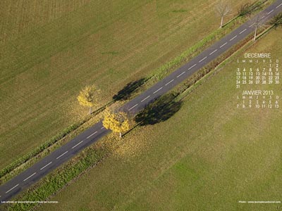 Les arbres se préparant pour l'hiver en Lorraine