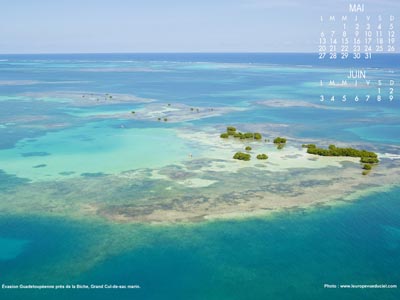 Le Grand Cul-de-sac marin près de la Biche (Guadeloupe)