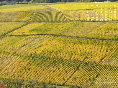 Vignes alsaciennes au début de l'automne