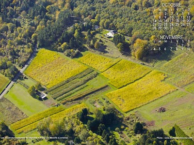 Vignoble d'Ancy-sur-Moselle (Lorraine)
