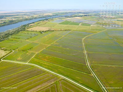 La Camargue et ses rizières