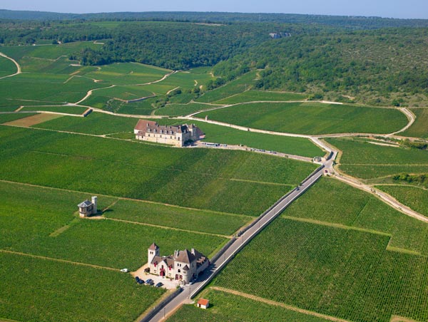 Photo aérienne d'un vignoble