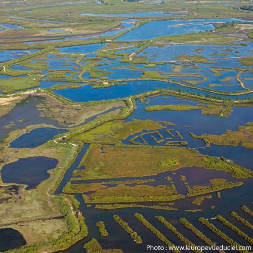 Le Teich, Gironde Le Teich, Gironde