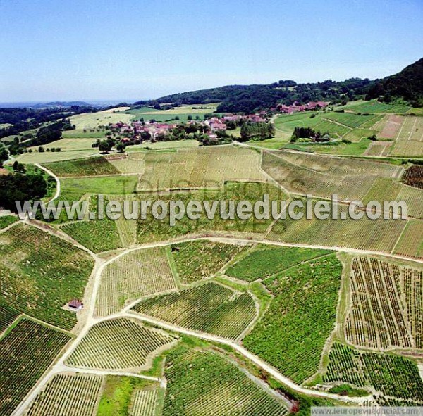 Photo aérienne de Mentru-le-Vignoble