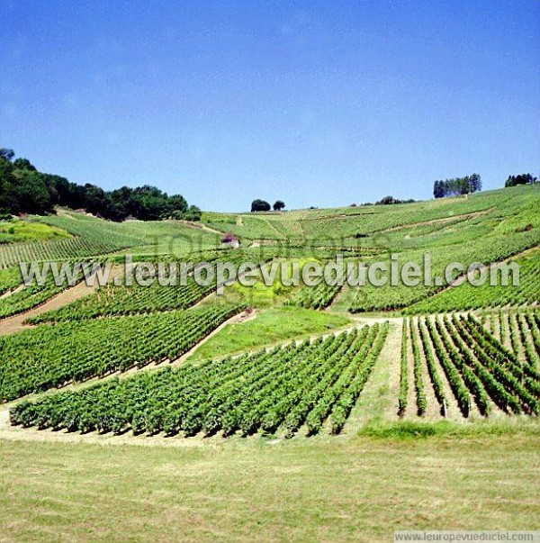 Photo aérienne de Mentru-le-Vignoble