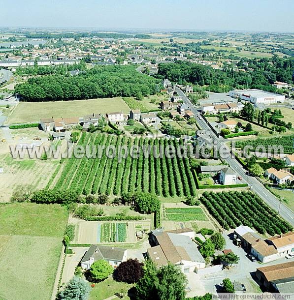 Photo aérienne de Saint-Pierre-Montlimart