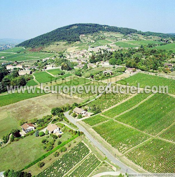 Photo aérienne de La Roche-Vineuse