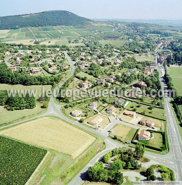 Photo aérienne de La Roche-Vineuse