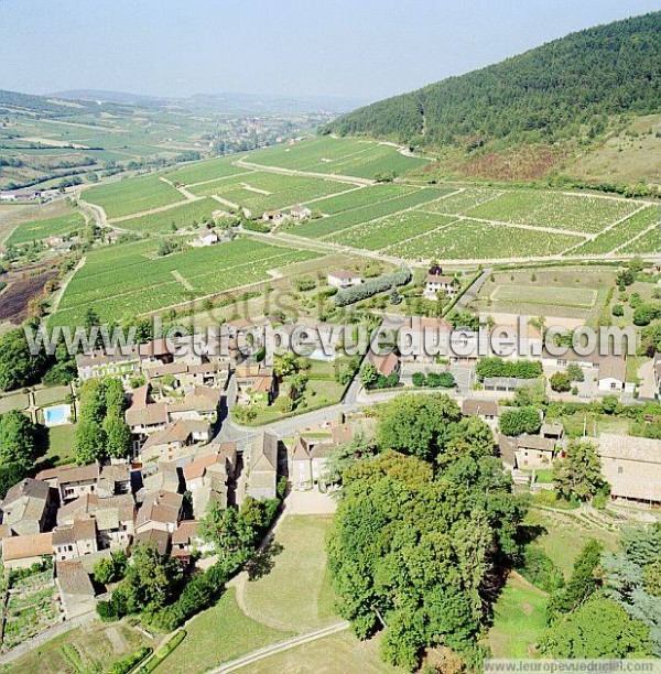 Photo aérienne de La Roche-Vineuse