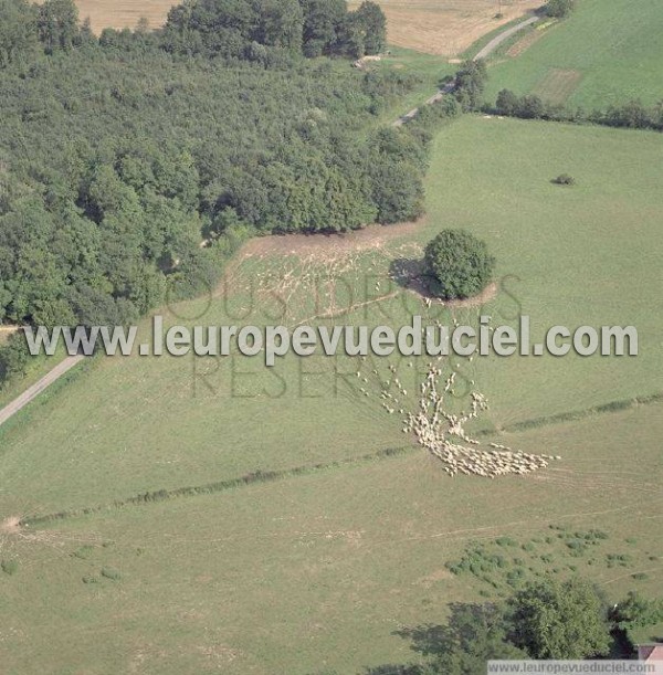 Photo aérienne de Abergement-le-Grand