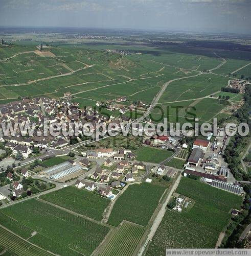 Photo aérienne de Sigolsheim