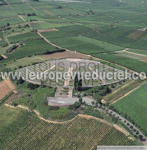 Photo aérienne de Sigolsheim