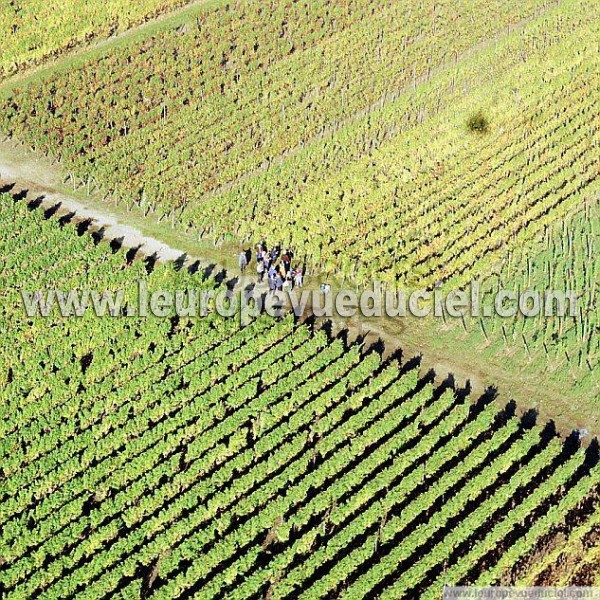 Photo aérienne de Husseren-les-Chteaux