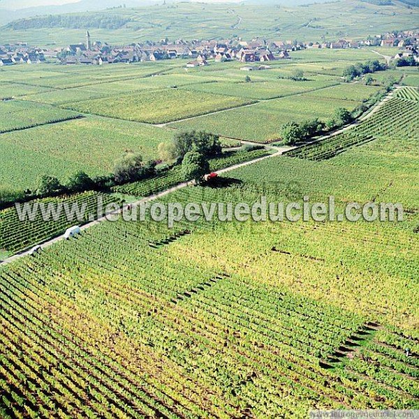 Photo aérienne de Indtermine (Haut-Rhin)