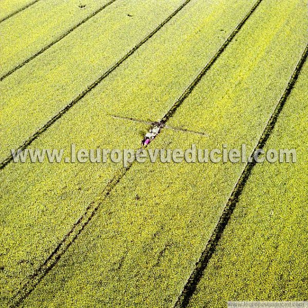 Photo aérienne de Indtermine (Marne)